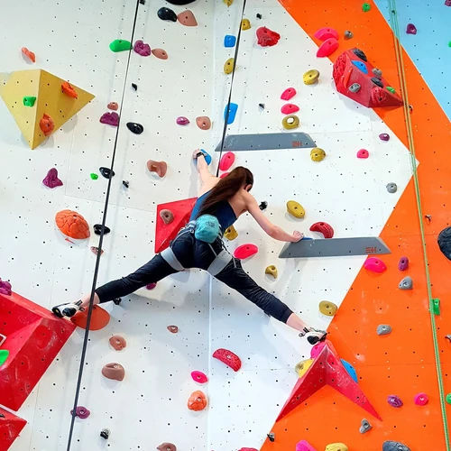 Adult Social Climbing